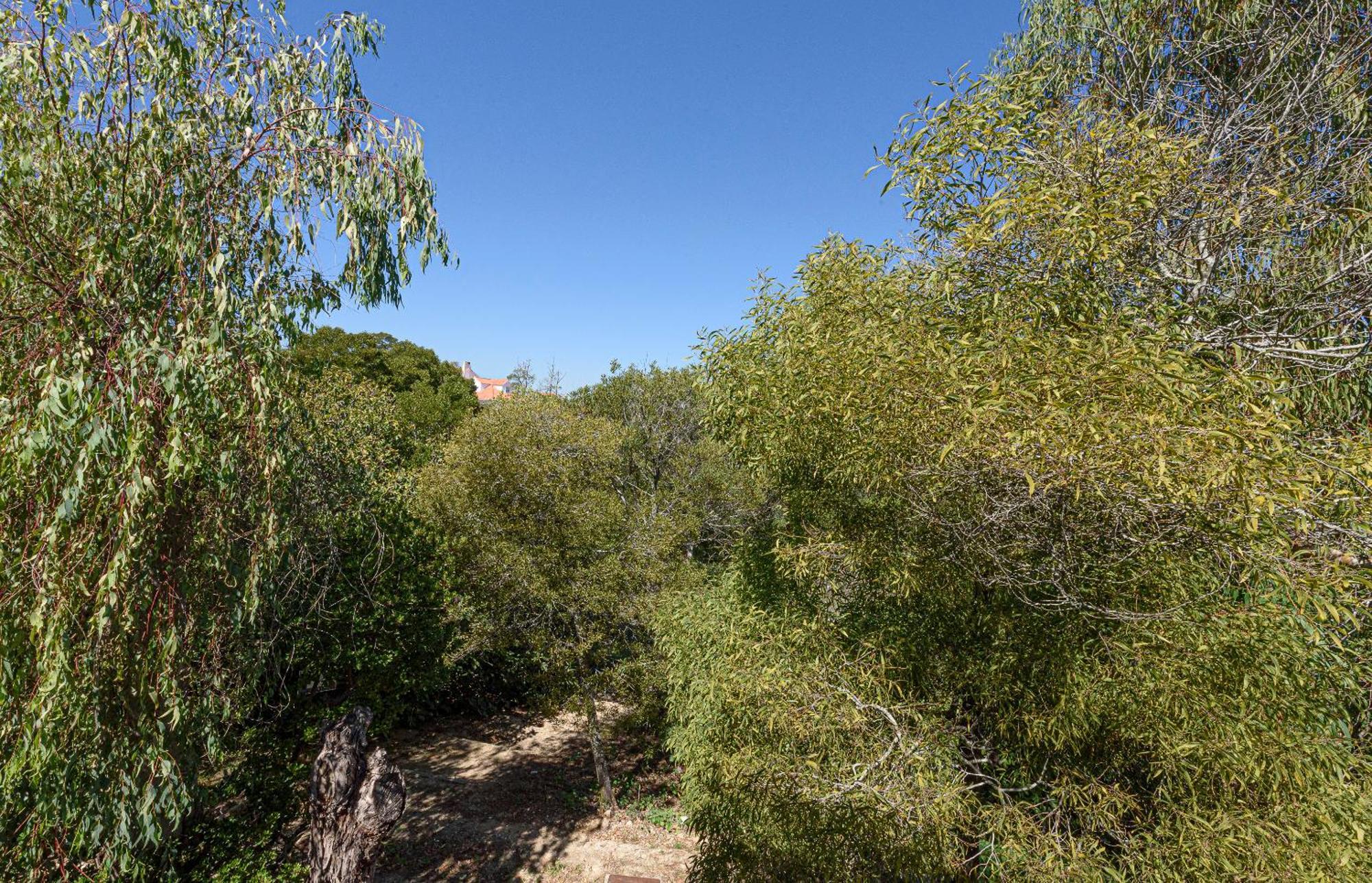 فيلا Quinta De Sao Pedro Sobreda المظهر الخارجي الصورة