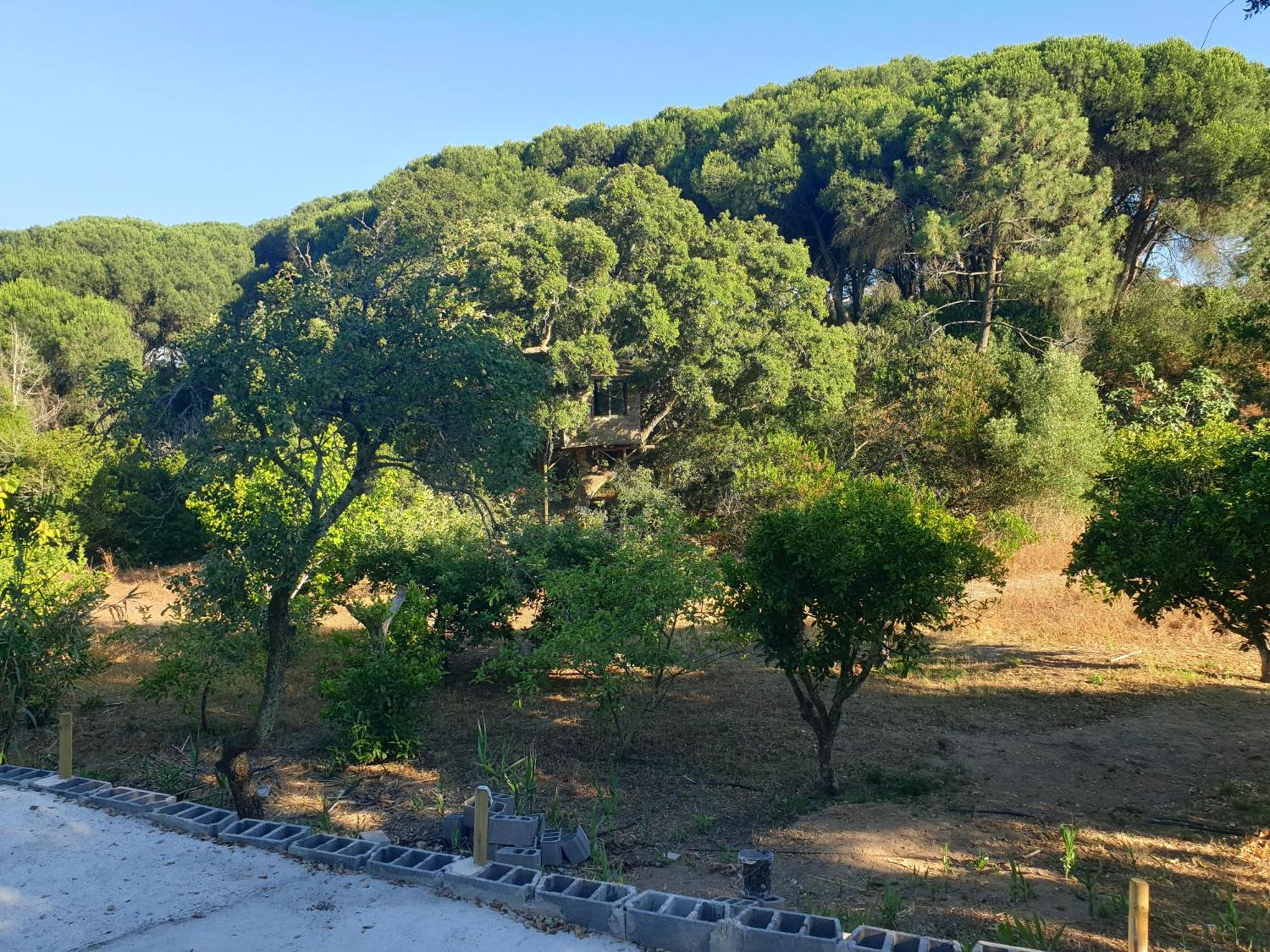 فيلا Quinta De Sao Pedro Sobreda المظهر الخارجي الصورة